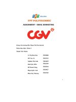 tiểu luận assignment email marketing rạp chiếu phim cgv thuộc tập đoàn cj cgv