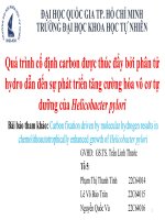 quá trình cố định carbon được thúc đẩy bởi phân tử hydro dẫn đến sự phát triển tăng cường hóa vô cơ tự dưỡng của helicobacter pylori