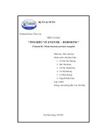 tiểu luận tìm hiểu về enzyme hormone vitamin b1 nhóm hormone protein và peptit