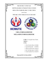 MÔN HỌC CÔNG NGHỆ SẢN XUẤT CHẤT DẺO UREA FORMALDEHYDE MELAMINE FORMALDEHYDE