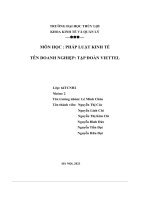 pháp luật kinh tế tên doanh nghiệp tập đoàn viettel