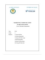 marketing communication in organizations course marketing communication