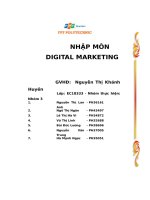 tiểu luận nhập môn digital marketing công ty cổ phần sữa việt nam