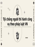 tội chống người thi hành công vụ theo pháp luật vn