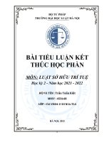 quy định của pháp luật về việc bảo hộ quyền sở hữu trí tuệ đối với logo của doanh nghiệp