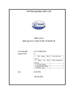 tiểu luận môn quản lý nhà nước về kinh tế