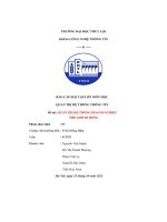 báo cáo bài tập lớn môn học đề tài quản trị hệ thống doanh nghiệp thế giới di động