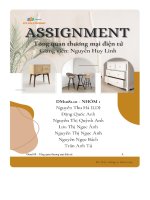 tiểu luận tổng quan thương mại điện tử chủ đề về décor mang thương hiệu maison deocr