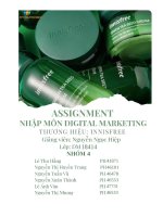 tiểu luận nhập môn digital marketing thương hiệu innisfree