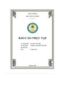 báo cáo thực tập về công ty tnhh dược phẩm lĩnh nam