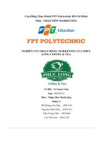 tiểu luận nghiên cứu hoạt động marketing của phúclong coffee tea