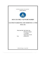 báo cáo thực tập nghề nghiệp giải pháp marketing cho mobifone cả tỉnh đắk lắk