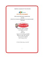 tiểu luận phân tích về digital marketing của doanh nghiệp acecook 2