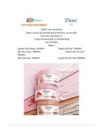 tiểu luận nghiên cứu mức độ nhận diện thương hiệu dove của sản phẩm tẩy tế bào chết body dove