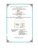 tiểu luận chuyên đề hoạch định chiến lược pr cho sản phẩm sữa tươi chứatổ yến vinamilk