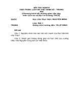 Nguyên nhân nào tạo nên sức mạnh của Đại Việt thời nhà Trần? Đánh giá những đóng góp và hạn chế của vương triều nhà Nguyễn trong lịch sử Việt Nam.