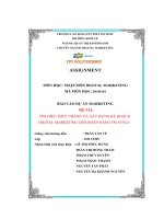 tiểu luận đề tài tìm hiểu thực trạng và xây dựng kế hoạch digital marketing cho nhãn hàng fm style
