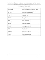 sáng kiến kinh nghiệm TPT Đội giỏi mới nhất 2023-2-24