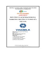 tiểu luận phân tích và lập kế hoạch digitalmarketing cho công ty cổ phần sữa việt nam