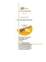 tiểu luận nhập môn digital marketing công ty cổ phần thời trang yody