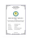 kế toán bán hàng và xác định kết quả bán hàng tại công ty cổ phần đầu tư truyền thông lina media