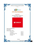 tiểu luận nhập môn digital marketing thương hiệu orion