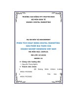tiểu luận phân tích hoạt động digital marketing sản phẩm bia tiger củadoanh nghiệp heineken việt nam