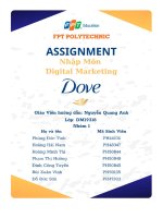 tiểu luận nhập môn digital marketing công ty tnhh quốc tế unilever việt nam