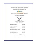 tiểu luận phân tích và lập kế hoạch digital marketing cho thương hiệu vinfast