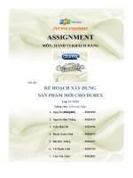 tiểu luận assignment môn hành vi khách hàng kế hoạch xây dựng sản phẩm mới cho durex