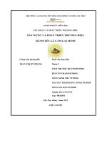 tiểu luận xây dựng và phát triển thương hiệuxây dựng và phát triển thương hiệubánh tét lá cẩm lai minh