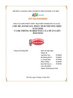 tiểu luận chủ đề đánh giá phân tích thương hiệuacecook và hệ thống marketing của mì ăn liềnhảo hảo