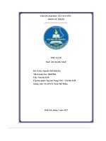 đặc trưng ngữ âm trong tác phẩm tức cảnh pác bó của hồ chí minh