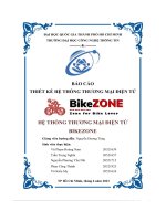 báo cáo thiết kế hệ thống thương mại điện tử hệ thống thương mại điện tử bikezone