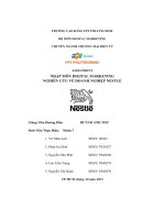 tiểu luận assignment nhập môn digital marketingnghiên cứu về doanh nghiệp nestlé