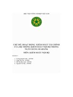 chủ đề hoạt động kiểm soát tài chính của hệ thống kiểm soát nội bộ trong ngân hàng seabank