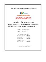 tiểu luận nghiên cứu marketing đề tài nghiên cứu phát triển thị trường cho thương niệu cà phê muối buôn ma thuột