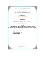 tiểu luận đề tài tìm hiểu thực trạng và xây dựng kế hoạch digitalmarketing của sản phẩm honda winner x tại công ty honda