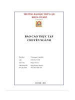 báo cáo thực tập chuyên ngành công việc được giao khi thjctập tại vw long biên