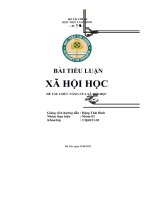 bài tiểu luận xã hội học đề tài chức năng của xã hội học