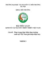 Tiểu luận môn kinh tế tài nguyên thiên nhiên việt nam thực trạng thực hiện tăng trưởng xanh tại việt nam giai Đoạn hiện nay