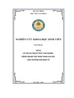 cơ hội và thách thức cho ngành nông nghiệp việt nam tham gia vào sàn thương mại điện tử