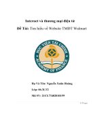 internet và thương mại điện tử đề tài tìm hiểu về website tmđt walmart