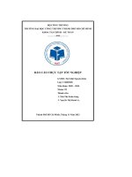 báo cáo thực tập tốt nghiệp về công ty cổ phần chứng khoán vietcap và pgd lb08