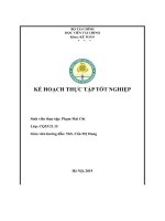 kế hoạch thực tập tốt nghiệp công ty cổ phần điện tử hồ gươm