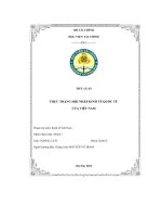 tiểu luận thực trạng hội nhâp kinh tế quốc tế của viêt nam
