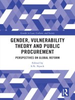 gender vulnerability theory and public procurement