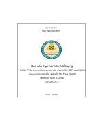 báo cáo thực hành kinh tế lượng đề tài phân tích ảnh hưởng của các nhân tố tới gdp của việt na