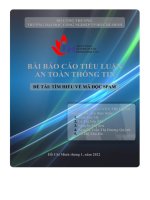 tiểu luận an toàn thông tin đề tài tìm hiểu về mã độc spam