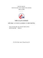 tiểu luận cuối kỳmôn học an toàn lao động và môi trường